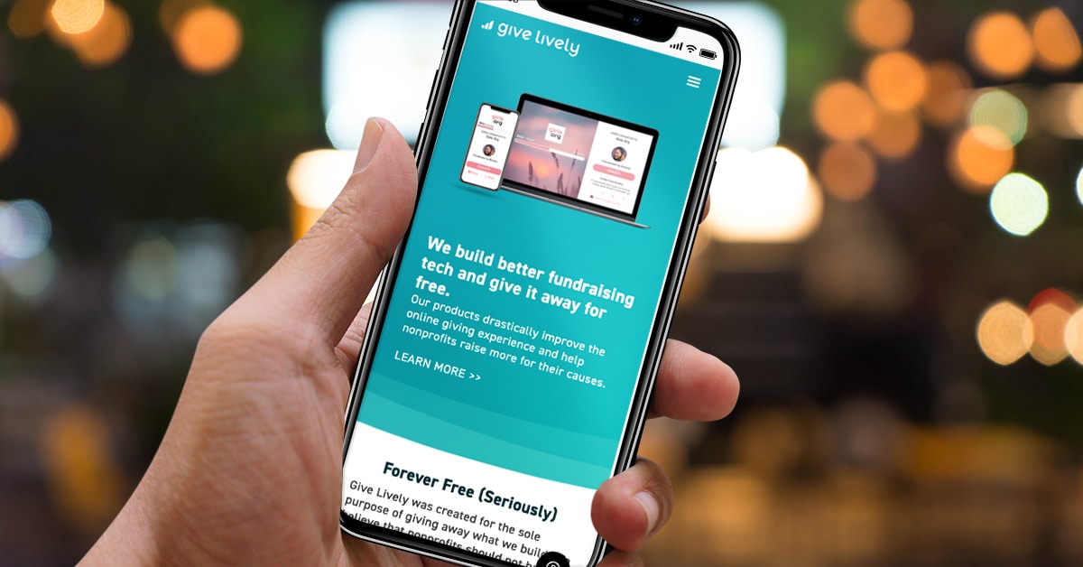How to Use Free Website Donation Forms from GiveLively – Blue ...