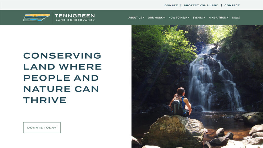 Website Screenshot: TeenGreen