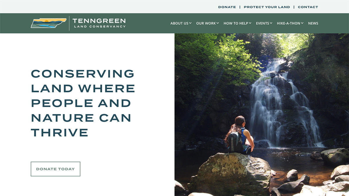 Website Screenshot: TeenGreen