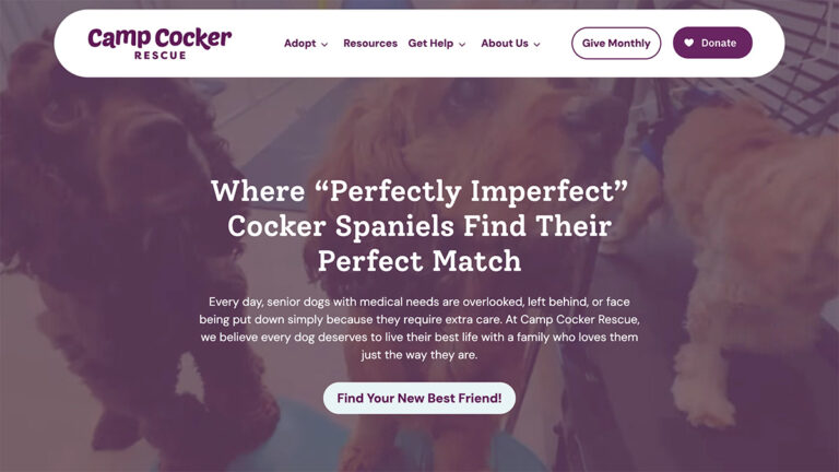 Website Screenshot: Camp Cocker Rescue