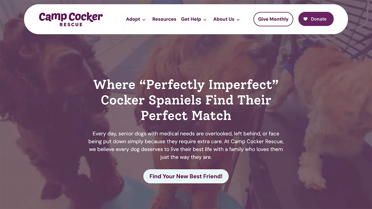 Website Screenshot: Camp Cocker Rescue