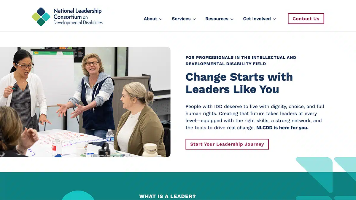 Screenshot of the NLCDD website homepage