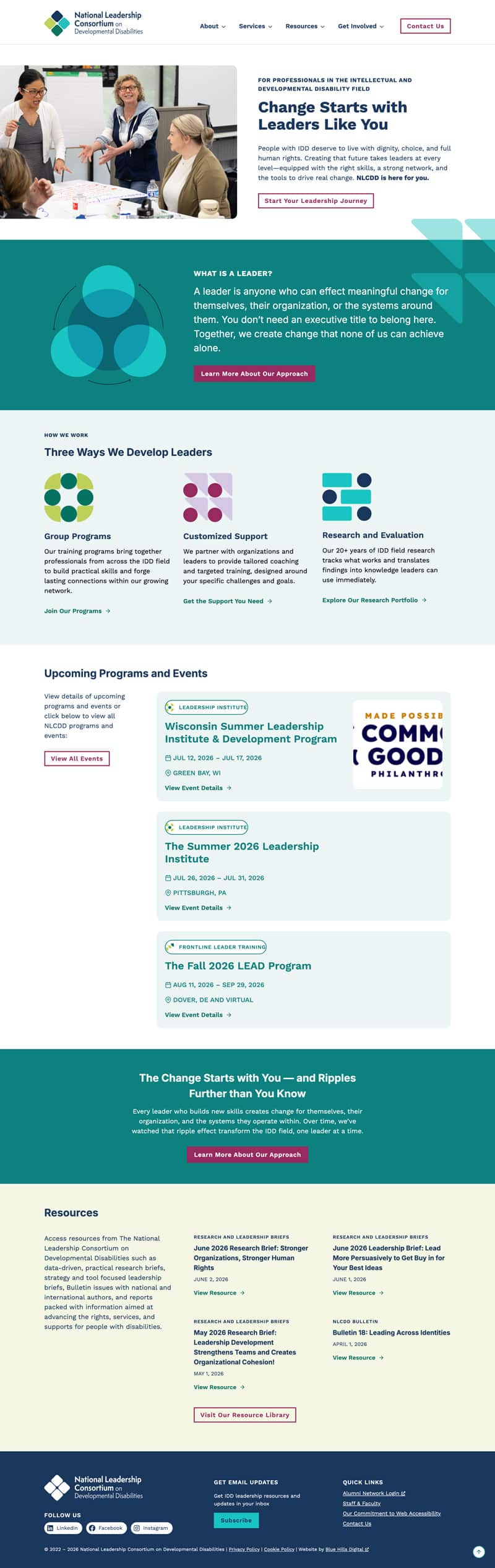 Screenshot of the new NLCDD website homepage
